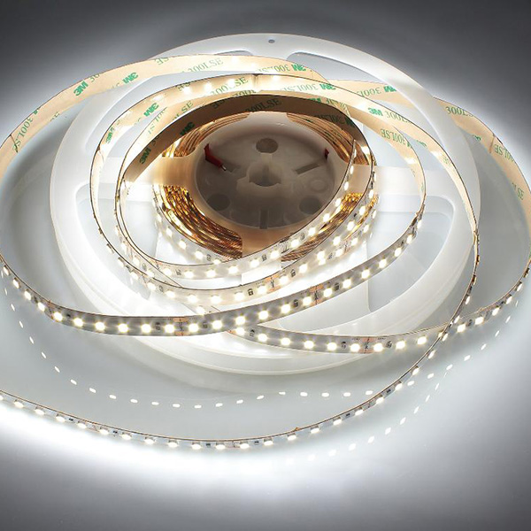 120leds 2835 24V 10 meters long flexible led strips 2 ritop lighting